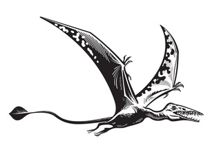 Flying pterodactyl. © Olena