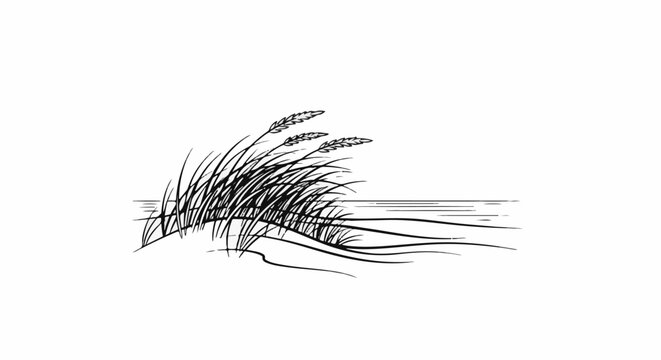 Tall grass blows in the wind by calm water on a bright day
