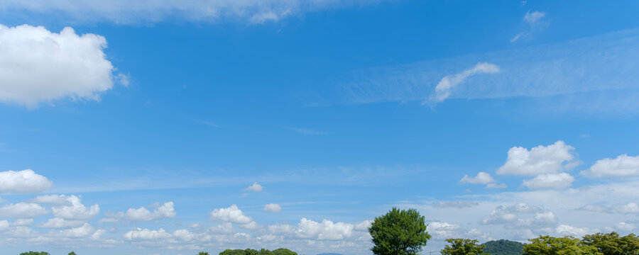 澄み渡る夏の青空と点在する白い雲。緑豊かな木々が並ぶ日本の爽やかな風景
