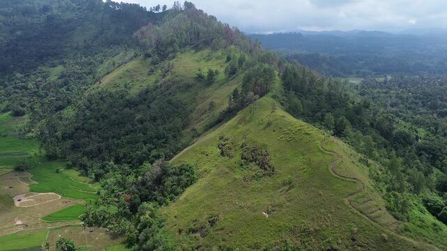 tunning aerial drone view of a sharp mountain ridge covered in lush green grass and pine trees under an overcast sky. Layers of forested hills and valleys extend into the misty distance, revealing th
