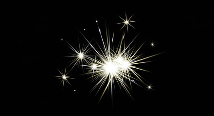 Fototapeta premium A cluster of sparkling fireworks explodes against a black background. The bright, golden sparks radiate outwards, creating a dynamic and energetic display.