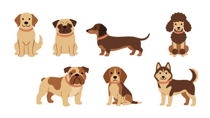 Obraz premium Cute Dog Breeds Set, Flat Vector Collection of Puppy Icons for Design. Cartoon Golden Retriever, Pug, Dachshund, Poodle, Bulldog, Beagle and Husky characters isolated on white background for web graph