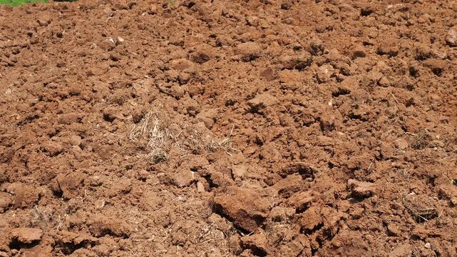 Close-up of dry plowed soil clods in an agricultural field, land preparation for farming and agriculture concept