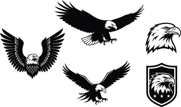 Set of bald eagle icons in flight and profile view with shield emblem vector illustration art.