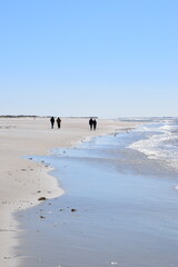 Strandszenen auf der Nordseeinsel Römö April 2026 © plopart
