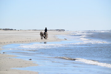Strandszenen auf der Nordseeinsel Römö April 2026 © plopart