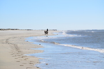 Strandszenen auf der Nordseeinsel Römö April 2026 © plopart