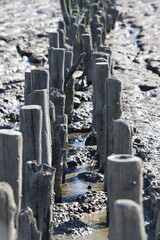 Strandszenen auf der Nordseeinsel Römö April 2026 © plopart