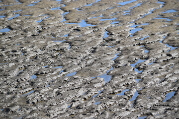 Strandszenen auf der Nordseeinsel Römö April 2026 © plopart