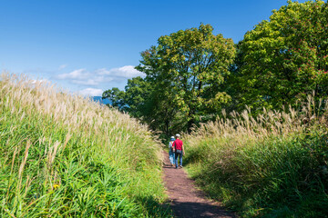 Fototapeta premium Old Japanese couple walk along Marsh of Tadewara Wetlands, Oita