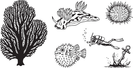 Hand-drawn vector illustration of a coral reef scene with a diver, pufferfish, and sea creatures underwater. © Crushin