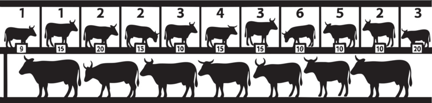 Livestock selection line with numbered cattle silhouettes, livestock