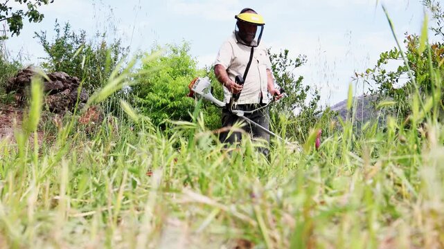 Professional gardener mowing tall grass with trimmer