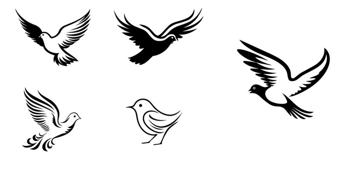 A collection of silhouettes of black birds and pigeons. Vector graphics for design