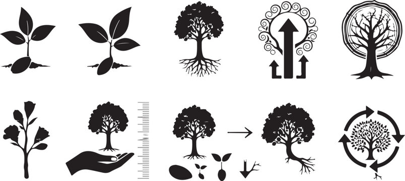 Collection of silhouette tree icons depicting life cycle growth phases planting roots and reforestation concept for nature projects.