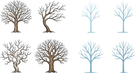 Obraz premium Leafless tree vector set winter bare trees collection detailed and minimal styles isolated botanical illustration