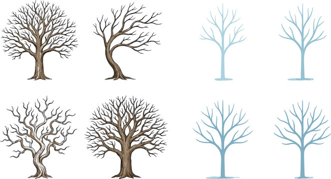 Leafless tree vector set winter bare trees collection detailed and minimal styles isolated botanical illustration