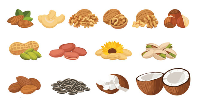 Diverse collection of healthy nuts and seeds including almonds walnuts cashews peanuts pistachios and halved coconut.