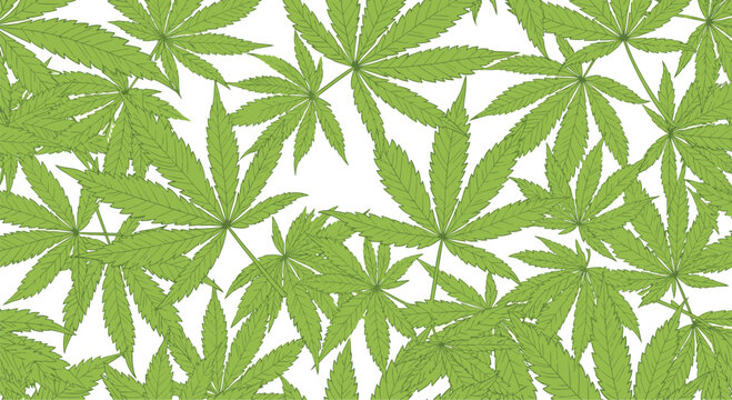 Seamless pattern of green cannabis or hemp leaves scattered across a clean white background in a modern flat vector design style.