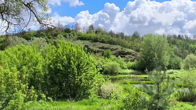 Beautiful summer rural landscape with trees and clouds. Natural background.