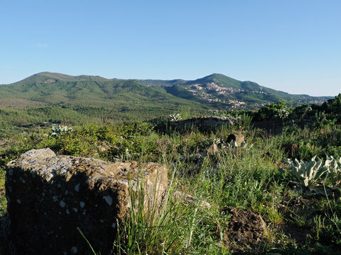 Rovine archeologiche di Tusculum: panorama storico tra le colline dei Castelli Romani