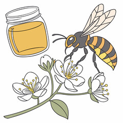 Bee collecting nectar from white flowers with honey jar yellow and black bee © Sumi