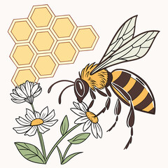 Bee collecting nectar from white flowers with honeycomb yellow and black bee © Sumi