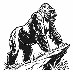 Black and white gorilla standing on a rock aggressive © PixelFusion