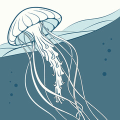 White jellyfish swimming in blue ocean water with bubbles © Sumi