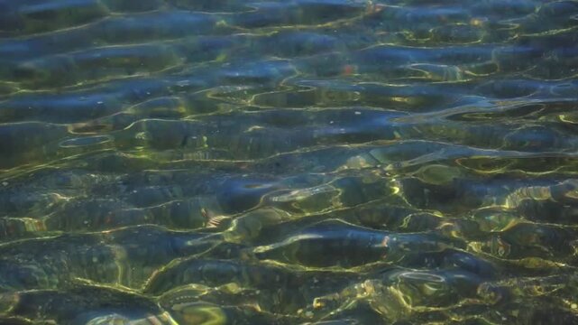 Calm ripple along the crystal waters of Kotor bay in Montenegro.