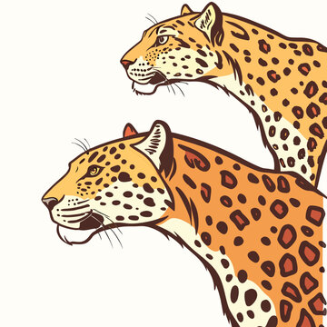 Two leopards heads in orange and brown animal mammal cartoon