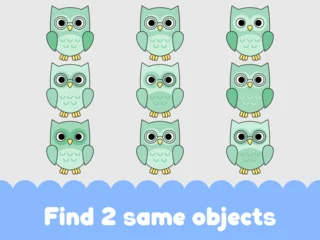 Fotobehang Uiltjes Educational vector illustration featuring multiple stylized owls for children to play a matching game and test their visual skills.  © Tuvv Creative