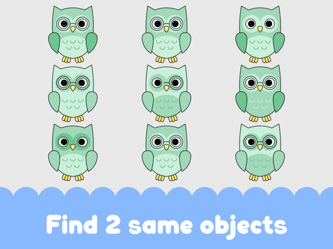 Educational vector illustration featuring multiple stylized owls for children to play a matching game and test their visual skills.