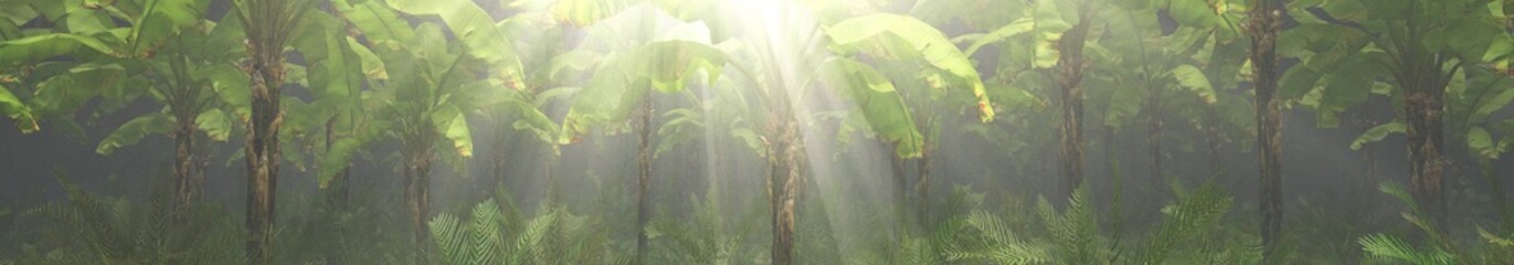 Fototapeta premium Jungle, rainforest during the plank, palm trees in the morning in the fog, jungle in the haze, 3D rendering