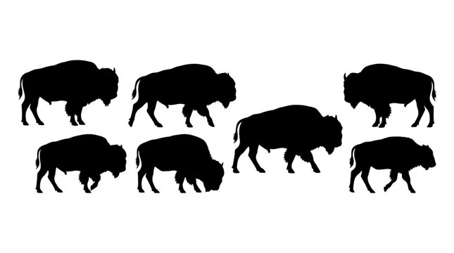 Multiple bison silhouettes in side profile, solid black shapes.