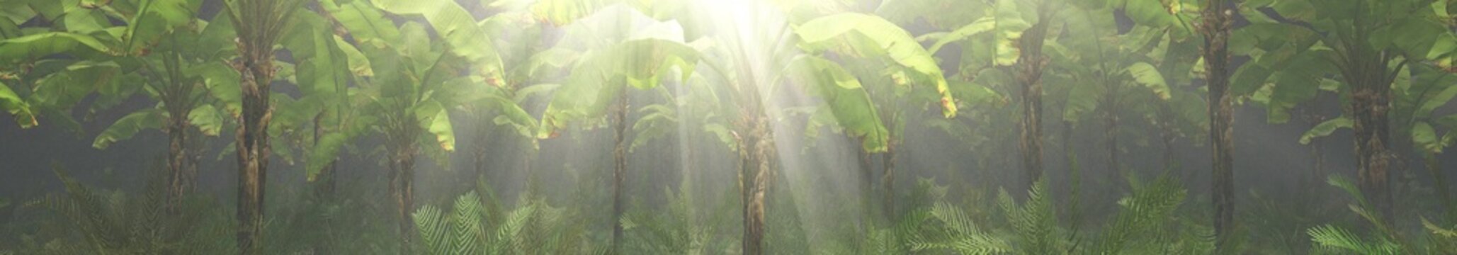 Jungle, rainforest during the plank, palm trees in the morning in the fog, jungle in the haze, 3D rendering