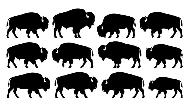 Multiple bison silhouettes in side profile, solid black shapes.