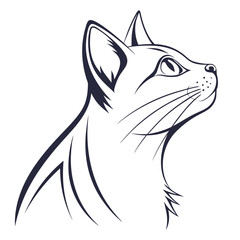 Black and white cat head with whiskers © Koli