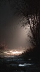 Fototapeta premium Luminous Fog Enveloping a Serene Black Environment at Dusk with Soft Light