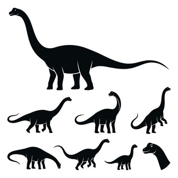 Black and white silhouette vector set of Barosaurus