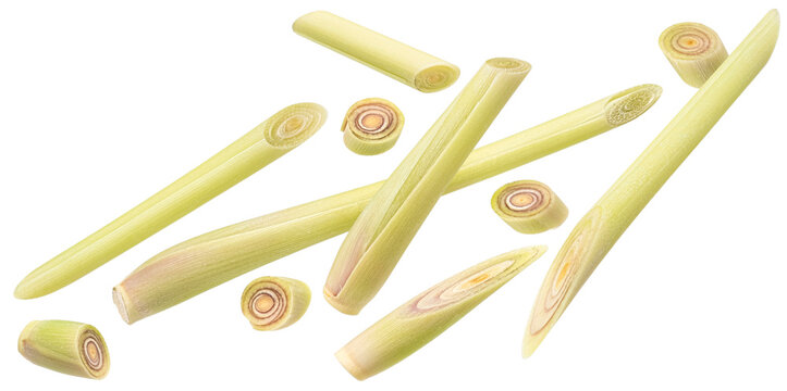 Falling lemongrass stalks and slices isolated on white background with clipping path