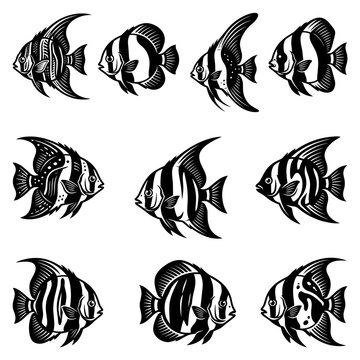 Black and white silhouette vector set of Batfish