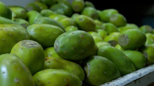 Tunas verdes frescas apiladas en un mercado tradicional mexicano - 4K