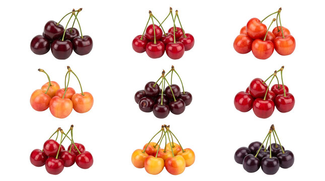 Assorted cherry varieties collection isolated on white. High-quality clusters of red, dark, and yellow sweet cherries for grocery marketing, nutritional content, and food blog backgrounds.
