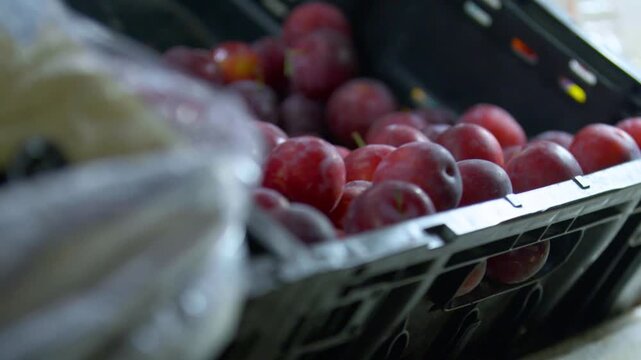 Primer plano de ciruelas rojas frescas en caja de pl&aacute;stico en mercado local - 4K