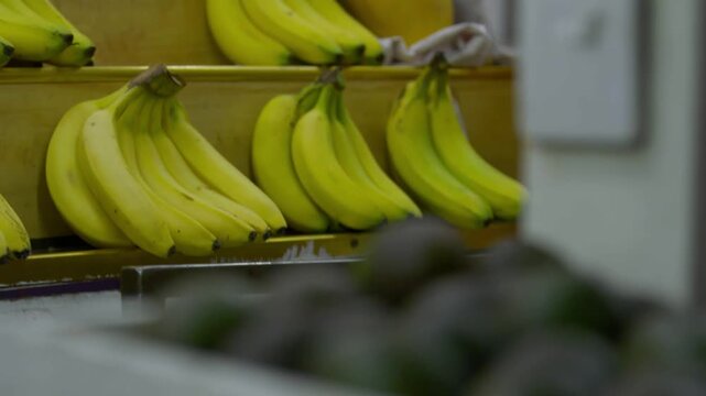 Pl&aacute;tanos frescos exhibidos en estante de mercado tradicional - 4K