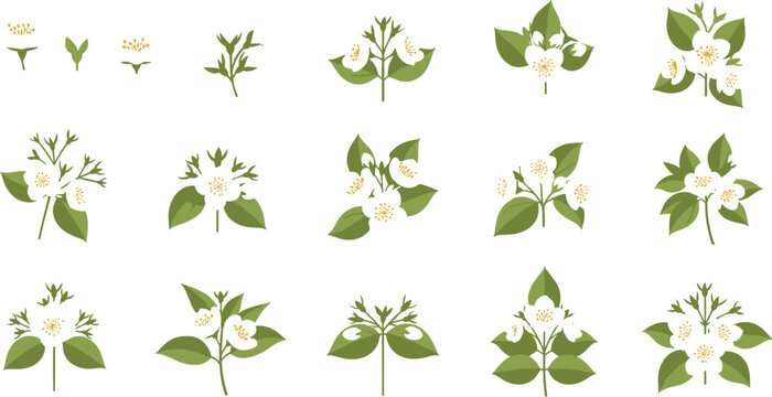 Jasmine Flower Element Set with Small White Blossoms and Green Leaves, Minimal Botanical Vector Collection for Floral Design, Patterns, and Decorative Graphics