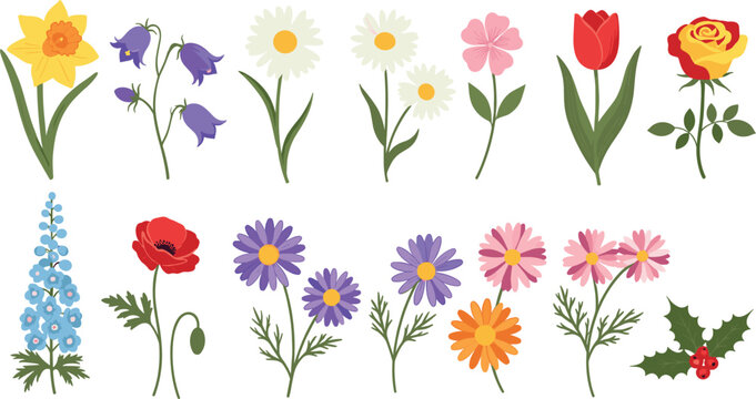 Colorful Botanical Flower Collection with Daffodil, Bluebell, Daisy, Tulip, Rose, Poppy, and Aster Plants for Nature and Floral Designs