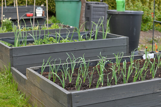 Heated garden beds, organic gardening.