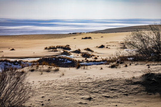 Winter landscape of sand dunes on the Curonian Spit near the frozen sea coast